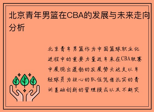 北京青年男篮在CBA的发展与未来走向分析