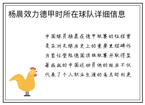 杨晨效力德甲时所在球队详细信息